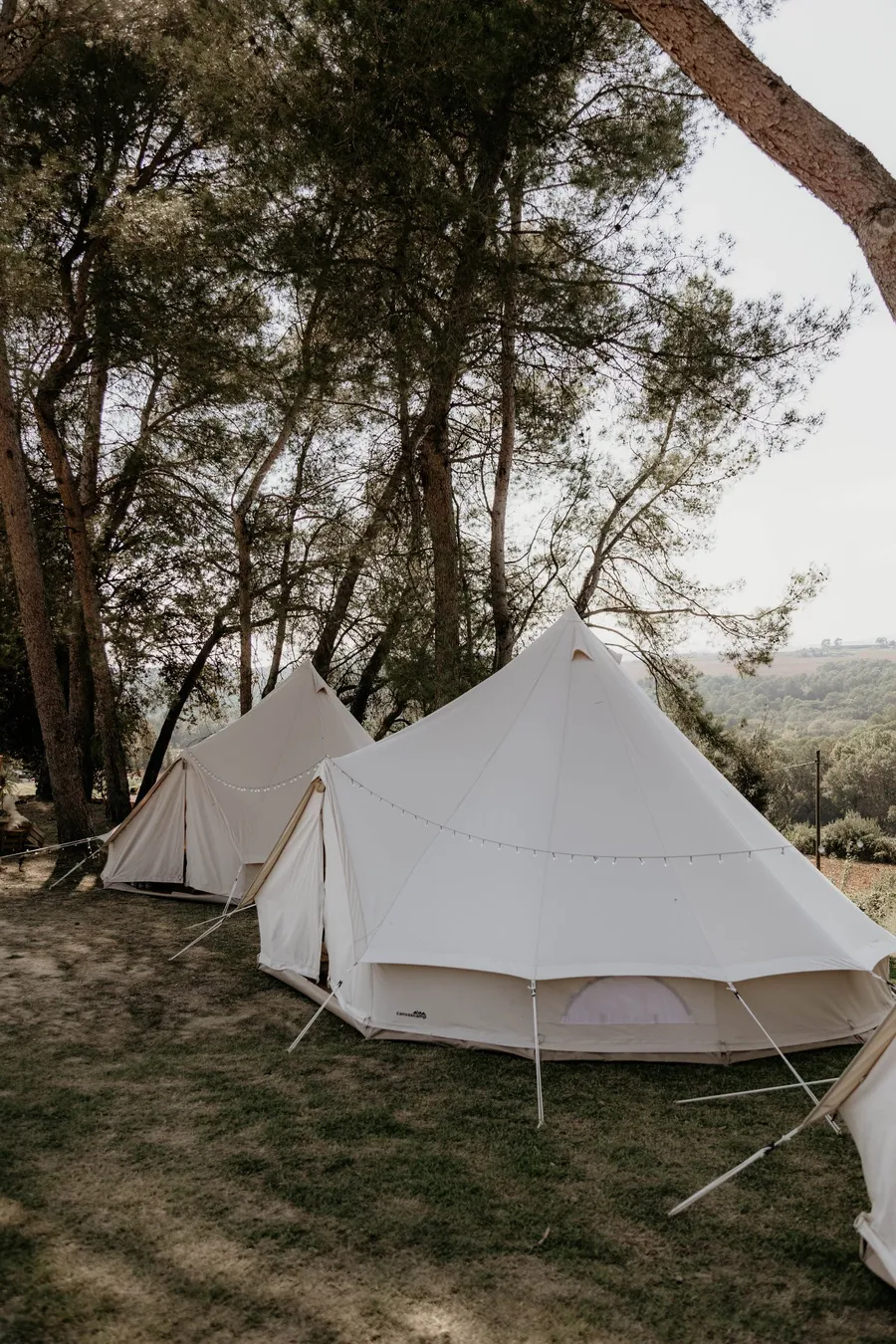 Village de tipis entre els arbres, muntat per a un casament